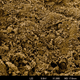 Image for article titled Ancient Microbes Found Alive Deep Beneath the Ocean Floor